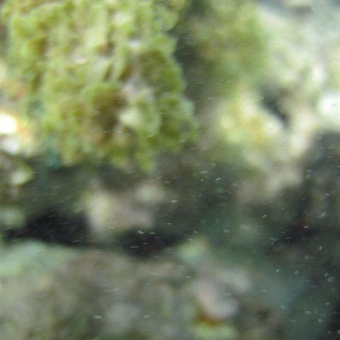 IMG_1285 IMG_1285