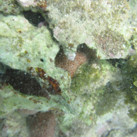 IMG_1286 IMG_1286