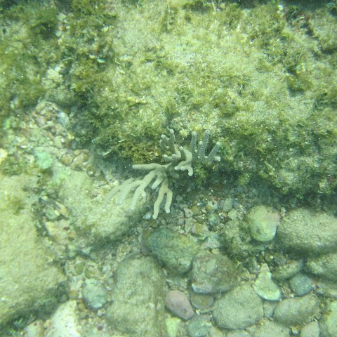 IMG_1287 IMG_1287