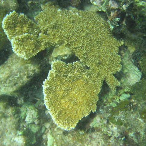 IMG_1288 IMG_1288
