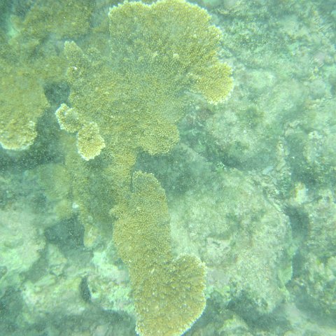 IMG_1289 IMG_1289
