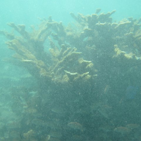 IMG_1290 IMG_1290