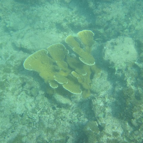 IMG_1295 IMG_1295