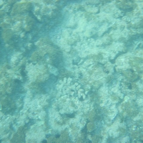 IMG_1296 IMG_1296