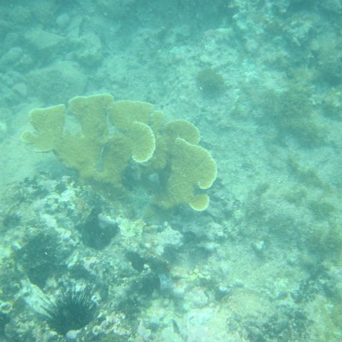 IMG_1298 IMG_1298