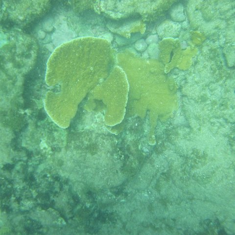 IMG_1300 IMG_1300
