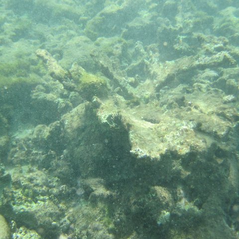 IMG_1302 IMG_1302