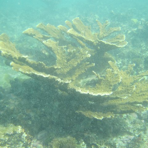 IMG_1303 IMG_1303