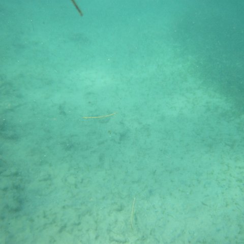 IMG_1304 IMG_1304