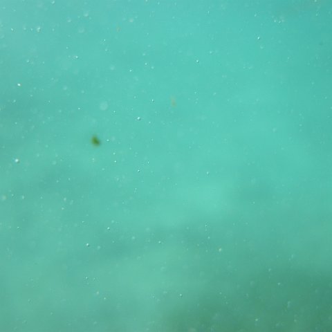 IMG_1305 IMG_1305