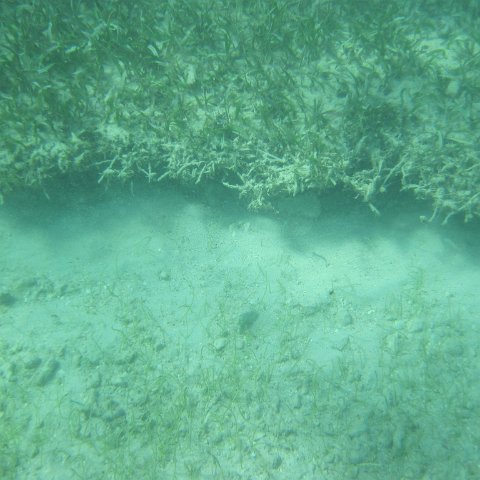 IMG_1306 IMG_1306