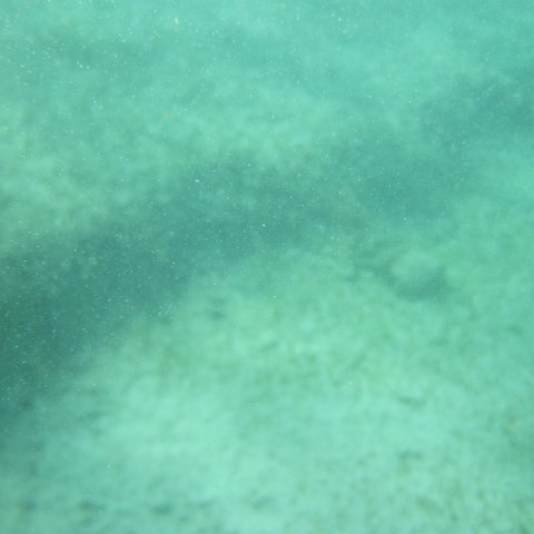 IMG_1307 IMG_1307