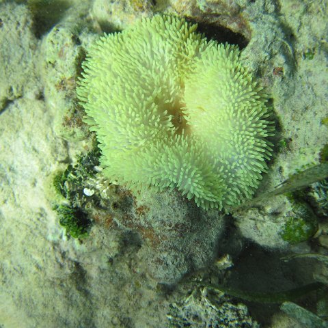 IMG_1308 IMG_1308