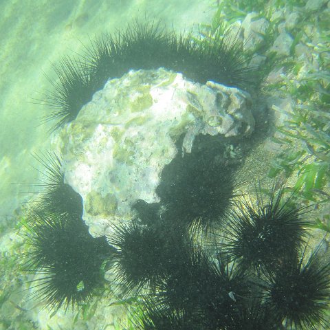 IMG_1311 IMG_1311