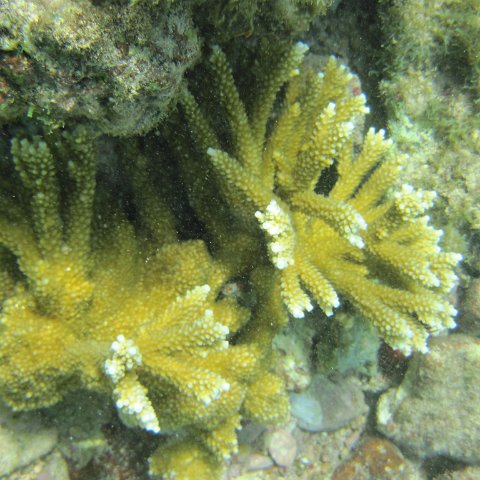 IMG_1314 IMG_1314