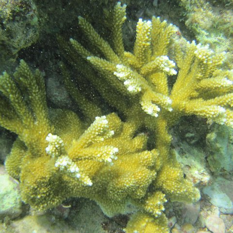 IMG_1315 IMG_1315