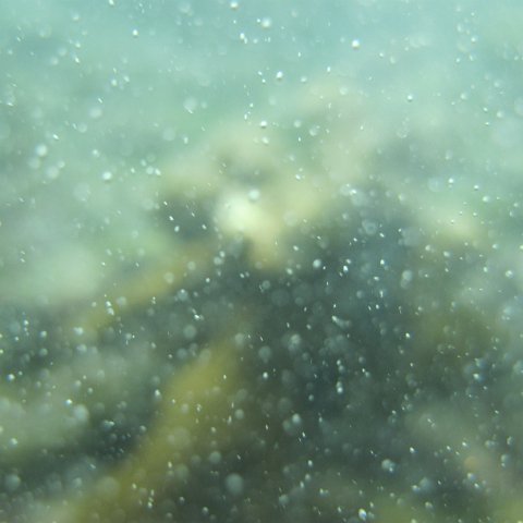 IMG_1316 IMG_1316