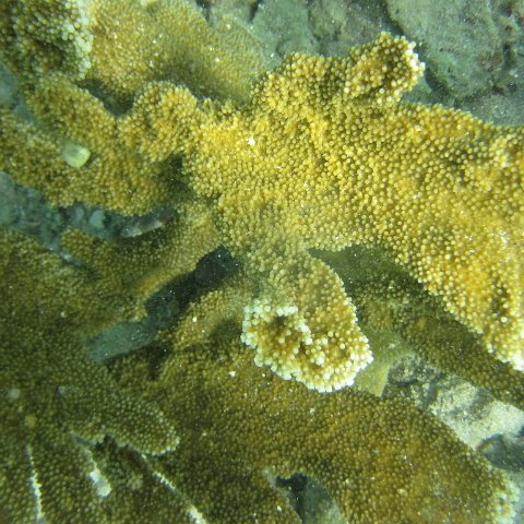 IMG_1317 IMG_1317