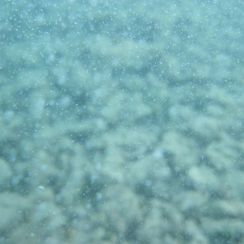 IMG_1318 IMG_1318