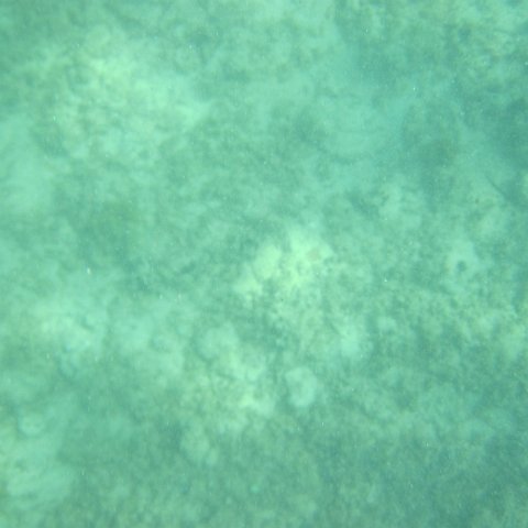IMG_1319 IMG_1319