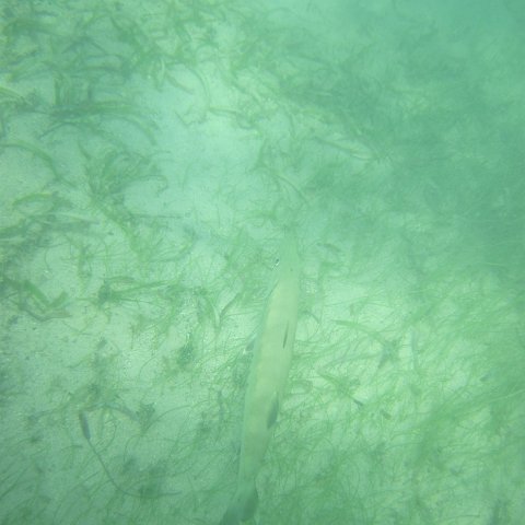 IMG_1320 IMG_1320