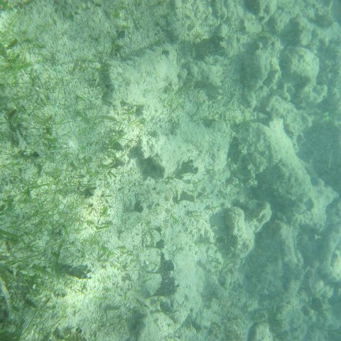 IMG_0003 IMG_0003