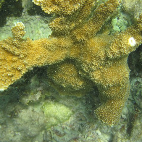 IMG_0005 IMG_0005