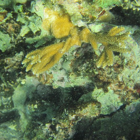 IMG_0007 IMG_0007