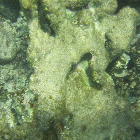 IMG_0008 IMG_0008