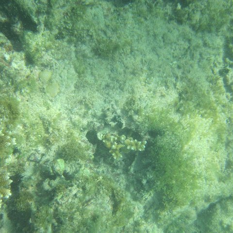IMG_0010 IMG_0010