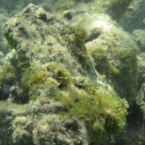 IMG_0011 IMG_0011