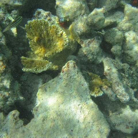 IMG_0012 IMG_0012