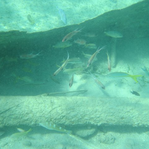 IMG_0014 IMG_0014