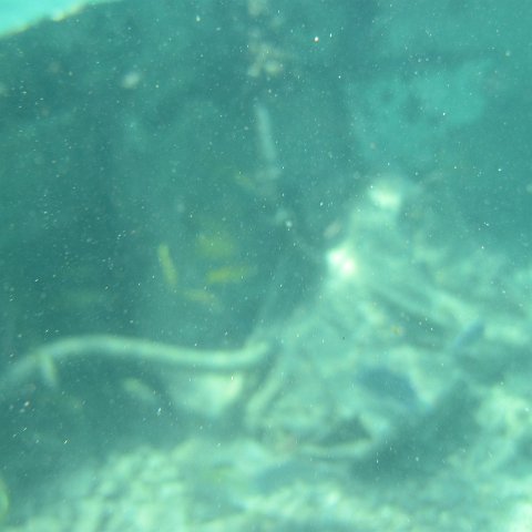 IMG_0015 IMG_0015
