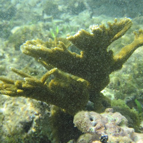 IMG_0018 IMG_0018