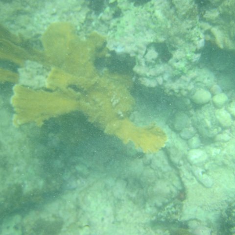 IMG_1322 IMG_1322