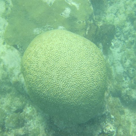 IMG_1323 IMG_1323