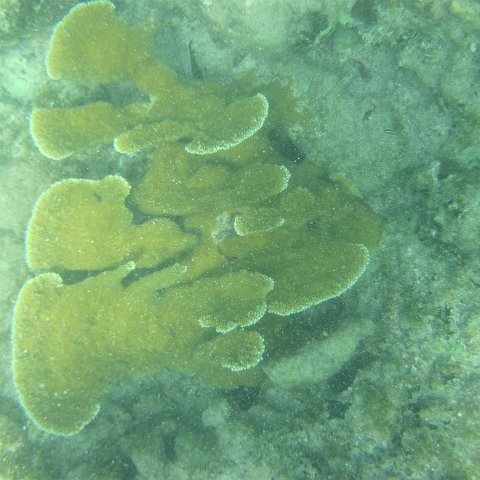 IMG_1325 IMG_1325
