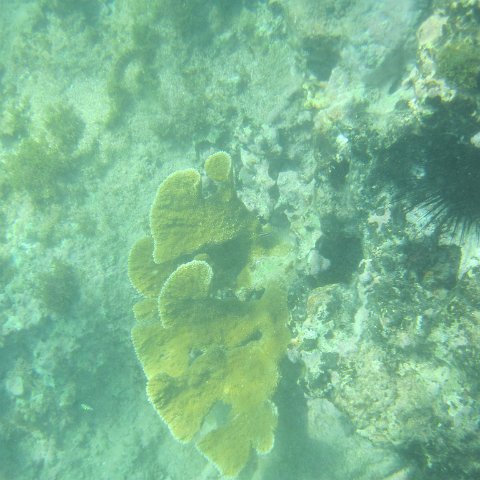 IMG_1326 IMG_1326