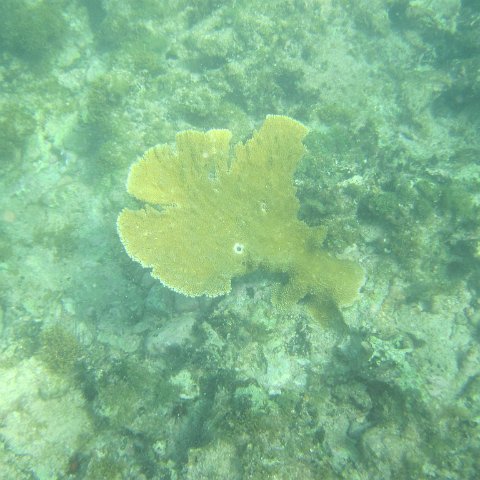 IMG_1328 IMG_1328