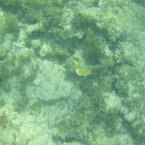IMG_1329 IMG_1329