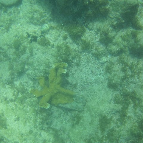 IMG_1330 IMG_1330