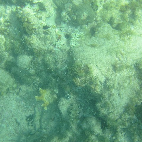 IMG_1331 IMG_1331