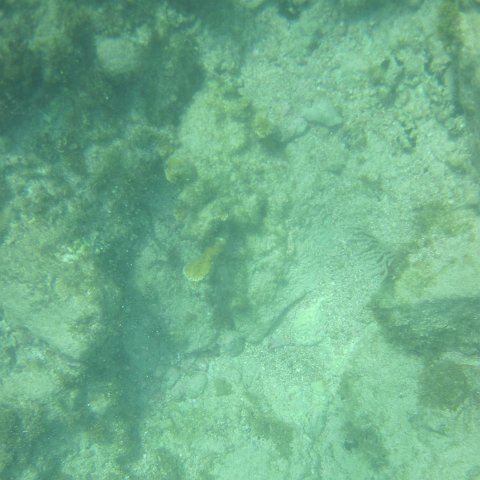 IMG_1332 IMG_1332