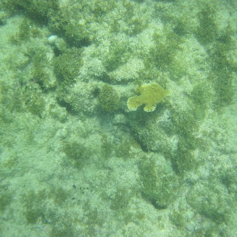 IMG_1333 IMG_1333