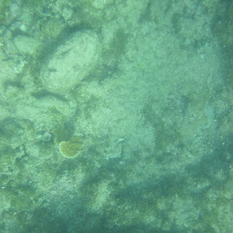 IMG_1335 IMG_1335