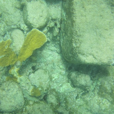 IMG_1337 IMG_1337