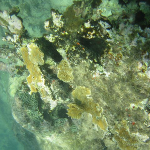 IMG_1338 IMG_1338