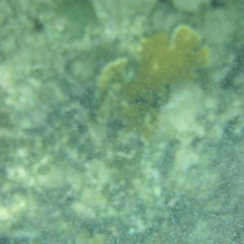 IMG_1339 IMG_1339