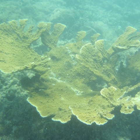 IMG_1340 IMG_1340